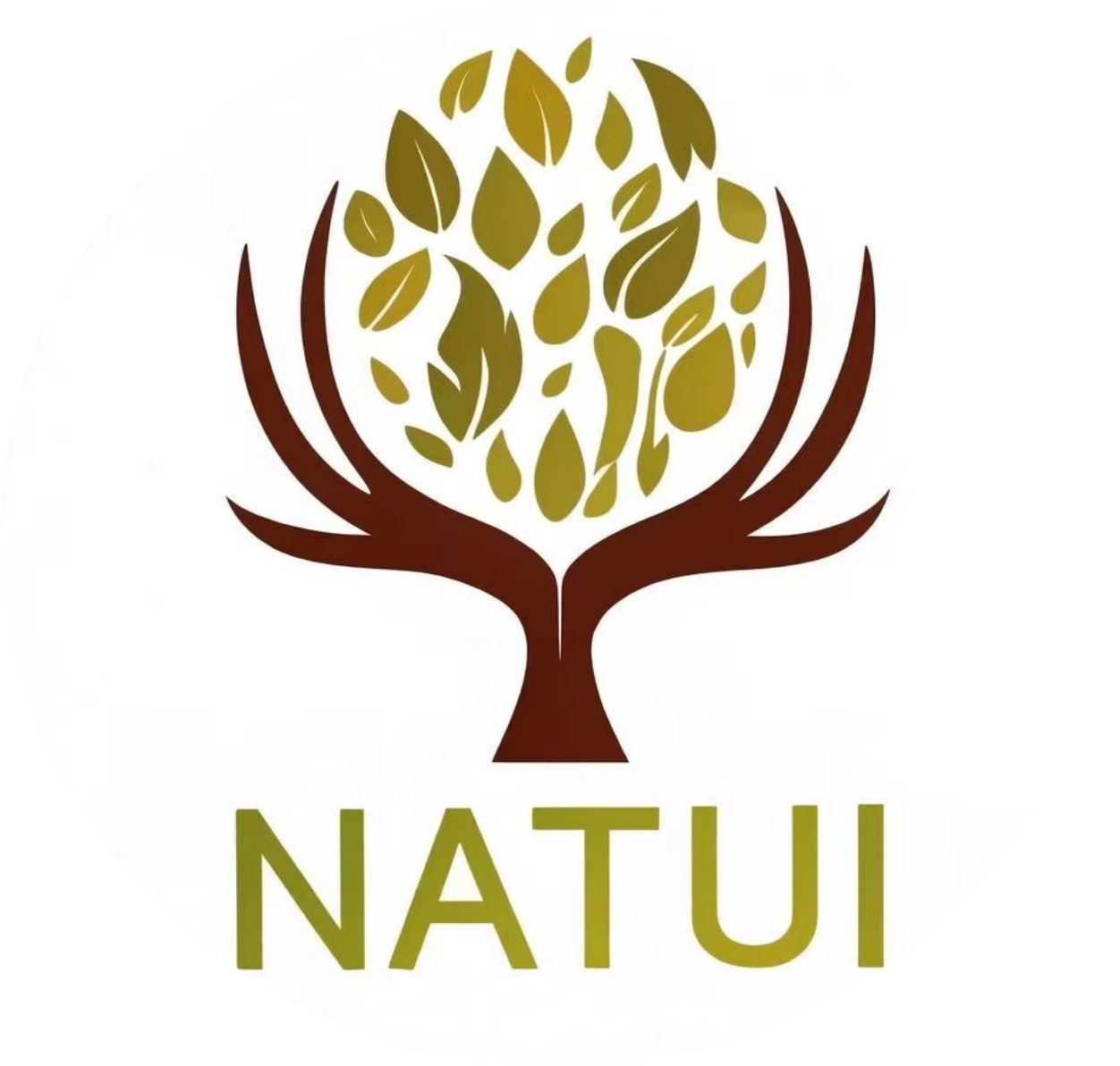 NATUI Logo